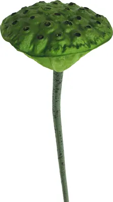 Faux Pods,Künstliche Pods,Pods Dekoration
