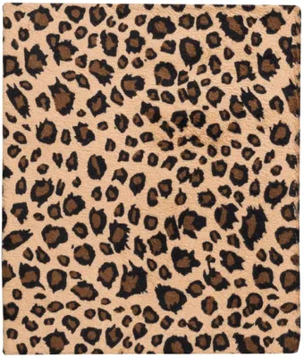 Produktbild von Exacompta Einsteckalbum 60 Fotos 11x15 cm Leopard 6 Stück (Gesamtmenge: 360 Fotos)