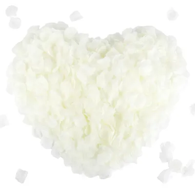 Image de 2200 pétales de roses en soie pour décoration de mariage - Ivoire