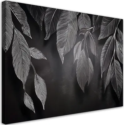 Produktbild von Leinwandbild Minimalismus Blätter Pflanzen Schwarz-Weiß-Blätter 90x60 Feeby Grau bild für die wand bereit zum aufhängen