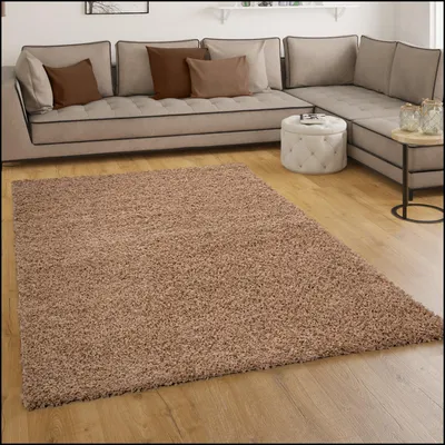 Image de Tapis shaggy à poils longs Sky uni en beige Taille 70x250 cm