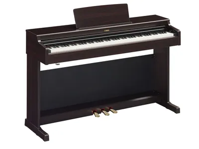 Image de Yamaha YDP-165 R