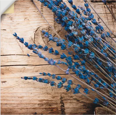 Produktbild von ARTland Wandbild, selbstklebend Lavendel vor Holzhintergrund Größe: 40x40 cm