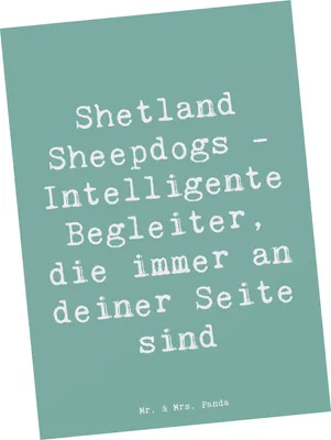 Produktbild von Mr. & Mrs. Panda Postkarte Spruch Shetland Sheepdog Freund - Meeresbrise - Geschenk, loyale Hunde, Postkarten, Hunderasse, Ansichtskarten, Fotokarte, treuer Begleiter