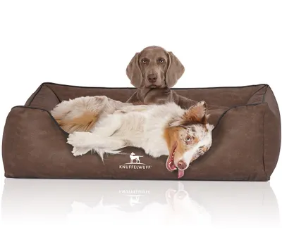 Produktbild von Knuffelwuff Hundebett Scottsdale aus Kunstleder Übergröße XXXL 155 x 105cm Braun