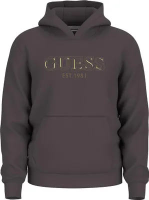 Produktbild von Guess Basic Kapuzenpullover Grau S Mann Grau S