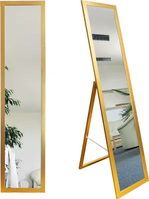 A full-length mirror with a gold frame, shown from two angles. The left angle shows the mirror standing against a white wall with a plant and some clothing. The right angle shows the mirror standing on a stand, reflecting a room with furniture.
