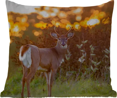 Produktbild von MuchoWow® Outdoor Kissen - Hirsche - Pflanzen - Sonnenuntergang - Wildtiere - Natur - 60x60 cm - Wetterfest - Lounge Kissen - Dekoration - Schlaf Kissen