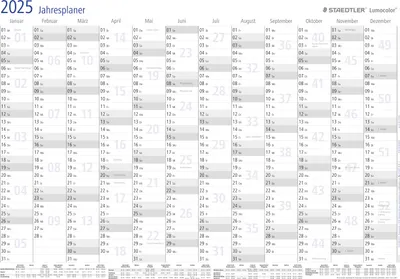 Image de Agenda annuel STAEDTLER Lumocolor year planner 2026 format A3
