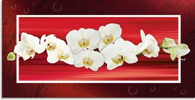 Produktbild von ARTland Glasbild Orchideen - rot Größe: 100x50 cm