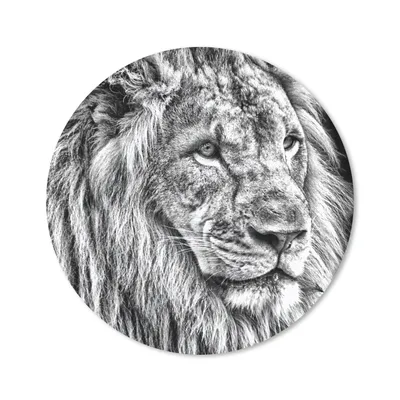 Produktbild von MuchoWow® Mauspad Mousepad Porträt - Löwe - Schwarz und weiß 30x30 cm - Mousepads - Maus Mat - Pad - Mausunterlage - Tischunterlage - Schreibtischmatten