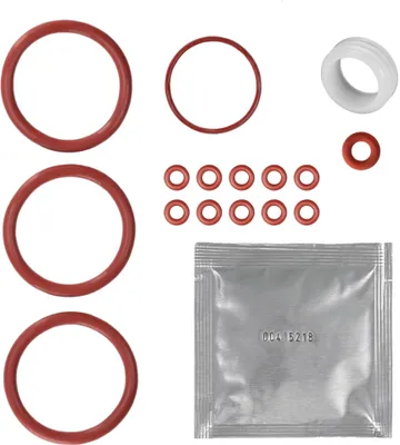 A flat lay of various gasket O-rings and a small packet of lubricant.