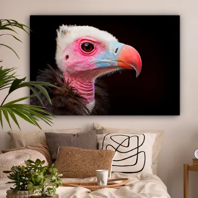 Produktbild von OneMillionCanvasses® - Leinwandbilder - 140x90 cm, Geier - Vogel - Schnabel, Wandbilder Kunstdruck Wanddekoration