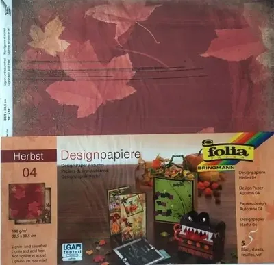 Image de Papier design 190 g/m² 30,5 x 30,5 cm, 5 feuilles - Galeria Hobby