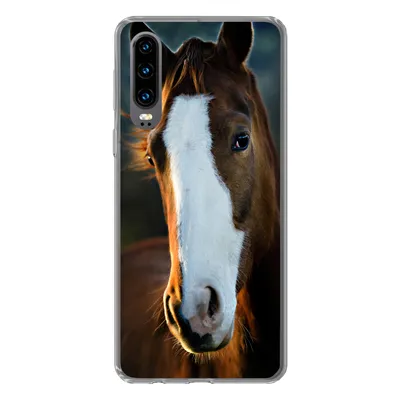 Produktbild von MuchoWow® Handyhülle Schutzhülle Hülle für Huawei P30 Pferd - Kopf - Licht Silikon Softcase Handy Hülle - Kartenbesitzer