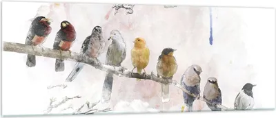 Produktbild von Bilder auf glas - Einteilig - Vögel Kanarienvogel Zweig - 140x50cm - Glasbilder - Wandbilder - Bilder - Wanddekoration aus Glas - Glas Bilder - Wandbild auf Glas - GAB140x50-4175