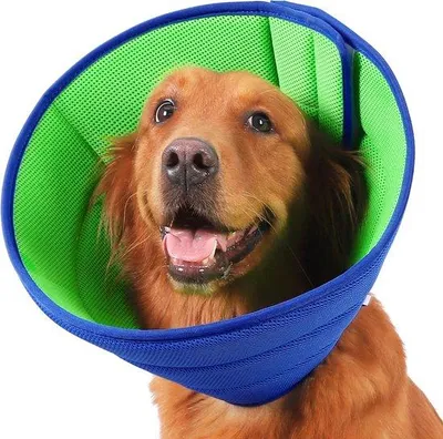 Image de Collier de protection pour chiens et chats – Idéal pour la convalescence après une opération – Tissu respirant – Protection contre les puces – Couleur : bleu