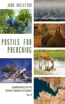 Produktbild von Postils for Preaching