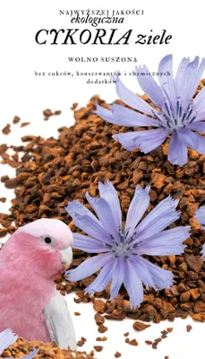 Zdjęcie produktu dla Premium Parrot Food - Ekologiczna Cykoria ziele -dla wszystkich papug 50g