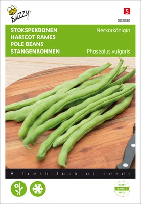 Produktbild von Stangenbohnen Neckarkönigin | Stangenbohnensamen von Buzzy Seeds