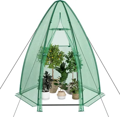 Produktbild von GOPLUS 198,5 x 98 x 215 cm begehbares Gewächshaus, Treibhaus mit aufrollbarem Fenster & Tür, Gewächshauszelt