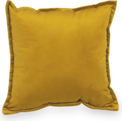 Image de Petit coussin pour canapé velours or