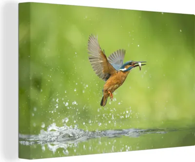 Zdjęcie produktu dla OneMillionCanvasses® - Obrazy na płótnie - 140x90 cm, Zimorodek - Ryba - Zwierzęta, grafika ścienna dekoracja ścienna