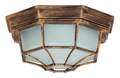 A close-up, studio shot of an outdoor ceiling light fixture.