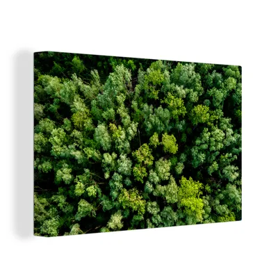 Obrázek produktu pro OneMillionCanvasses® Malba na plátně Nástěnná malba na plátně - Strom - les - zelený - 150x100cm