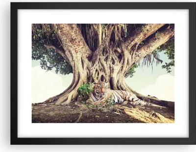 Produktbild von Gerahmtes Poster - Schwarzer Rahmen - Tiger Wild Baum - 40x30 cm - Wand Bild - Wanddeko - Wandbilder - Kunstposter - Wandposter - Bilderrahmen - Bilder - Kunstdruck - Wanddekoration - P2BAA40x30-5124