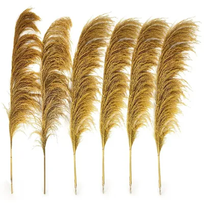 Produktbild von Pampasgras-Dekor getrocknet 6 Stück 110 cm Gold