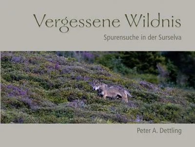 Produktbild von Vergessene Wildnis