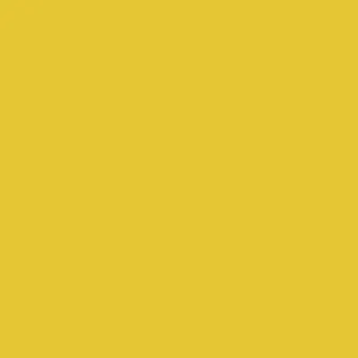 Immagine prodotto di Heyda 203310510 Carta velina, p/p: 50 cm × 70 cm, 20 g/m², giallo