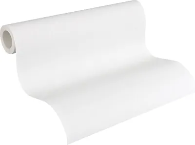 Produktbild von A.S. Création Vliestapete Meistervlies Pro Protect 2, weiss, überstreichbar, 10,05 m x 0,53 m, 248718, 2487-18