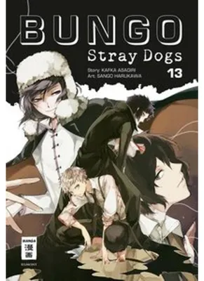 Produktbild von Bungo Stray Dogs 13