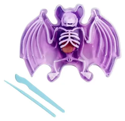 Produktbild von Scout Dissect-It Fledermaus