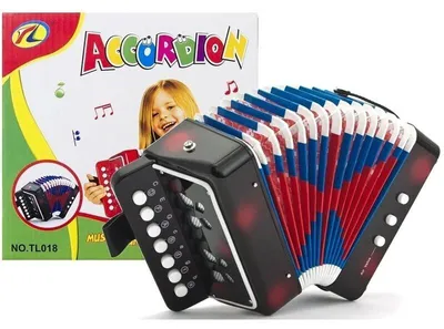 Immagine prodotto di LEAN Toys 1496, fisarmonica per piccoli musicisti, colore nero
