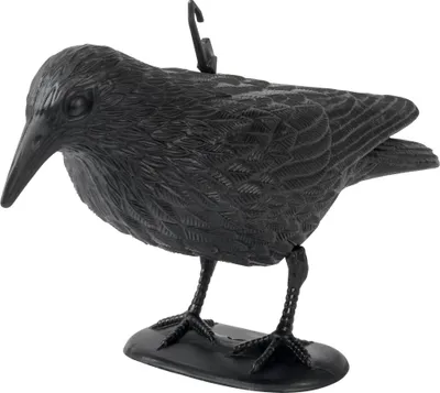 Produktbild von Gardigo Vogelabwehr Krähe schwarz