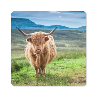 Produktbild von MuchoWow® Mauspad Mousepad Schottischer Hochländer - Kuh - Natur - Berg - Gras 20x20 cm - Mousepads - Maus Mat - Pad - Mausunterlage - Desk Mat - Bureauartikeln