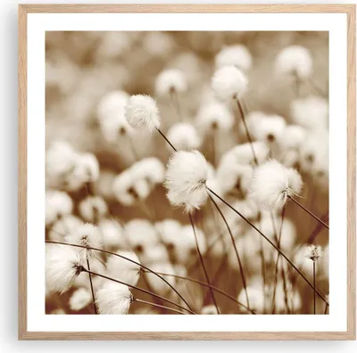 Produktbild von Gerahmtes Poster - Rahmen in heller Eiche - Baumwolle Boho Wollig - 60x60 cm - Wand Bild - Wanddeko - Wandbilder - Kunstposter - Wandposter - Bilderrahmen - Bilder - Kunstdruck - P2NAC60x60-4850