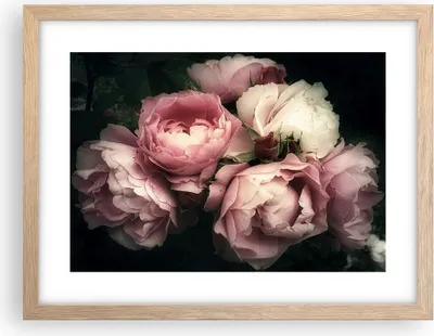 Produktbild von Gerahmtes Poster - Rahmen in heller Eiche - Pfingstrose Blume - 40x30 cm - Wand Bild - Wanddeko - Wandbilder - Wandposter - Bilderrahmen - Bilder - Kunstdruck - Wandbild - P2NAA40x30-3930