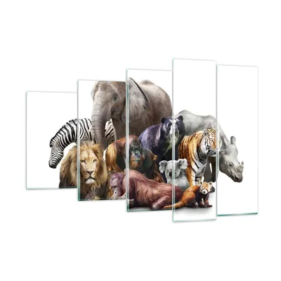 Produktbild von Bilder auf glas - Tiere Koala Löwe Affe - 150x100cm - Glasbilder - Wandbilder - Kunstdruck - zum Aufhängen bereit - Wanddekoration aus Glas - Glas Bilder - Wandbild auf Glas - GEG150x100-3166