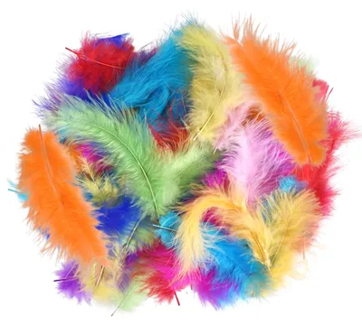 100 bunte Bastelfedern, Macaron-Farben, 10-15 cm, Naturfedern