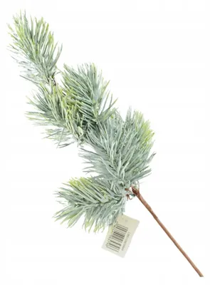 Produktbild von Jucca Winterkiefernzweig Dekorativer Zweig 40cm Deko