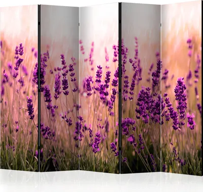 Produktbild von 5-teiliger Einseitiger Vlies Paravent - Lavender in the Rain II 225x172 cm Blumen b-B-0111-z-c