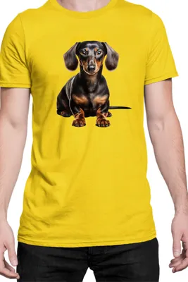 Zdjęcie produktu dla Męska Koszulka Dogs Breeds Doberman Pinscher Dog Breed 005, Man S / Żółty