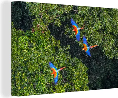 Produktbild von MuchoWow® - Leinwandbilder - Dschungel - Baum - Papagei - Jungen - Mädchen - Kinder, Wandbild, Wanddeko Bilder Wohnzimmer, 120x80 cm