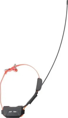 Immagine prodotto di Collare con localizzatore GPS, NUM'AXES CANICOM GPS Mini, con funzione addestramento, arancione, collare aggiuntivo