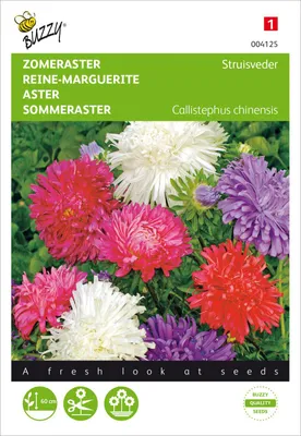 Productafbeelding van Sommeraster-mix met struisveren | Astersamen van Buzzy Seeds