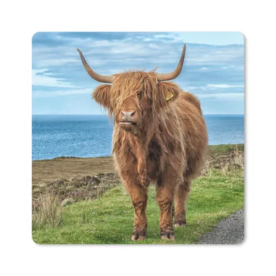 Produktbild von MuchoWow® Mauspad Mousepad Schottischer Highlander - Wasser - Hörner 20x20 cm - Mousepads - Maus Mat - Pad - Mausunterlage - Desk Mat - Bureauartikeln